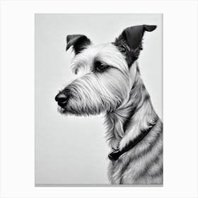 Glen Of Imaal Terrier B&W Pencil dog Canvas Print