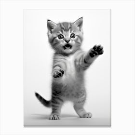 The Frisky Canvas Print