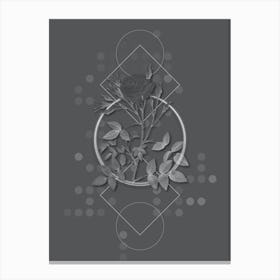 Vintage White Rose of Rosenberg Botanical with Line Motif and Dot Pattern in Ghost Gray n.0029 Canvas Print