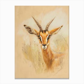 Gazelle Pastel Watercolour 4 Toile