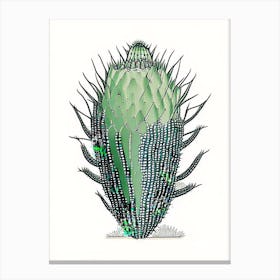 Turk S Head Cactus William Morris Inspired 1 Canvas Print