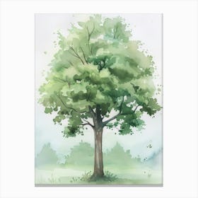 Lime Tree Atmospheric Watercolour Painting 3 Canvas Print