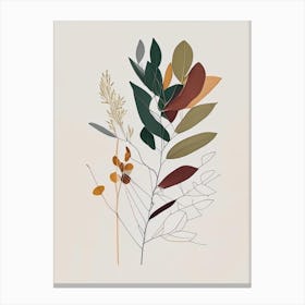 Eucalyptus Spices And Herbs Minimal Line Drawing 1 Canvas Print