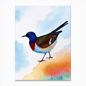 Dipper 3 Watercolour Bird Canvas Print