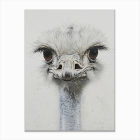 Ostrich 3 Canvas Print