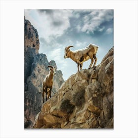 Goats In The Mountains Canvas Print