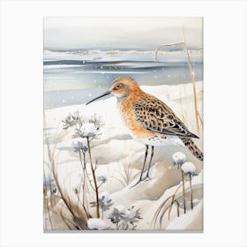 Winter Bird Painting Dunlin 1 Canvas Print