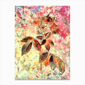 Impressionist Boursault Rose Botanical Painting in Blush Pink and Gold Canvas Print