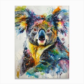 Koala Colourful Watercolour 4 Canvas Print