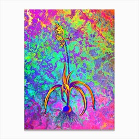 Common Bluebell Botanical in Acid Neon Pink Green and Blue Canvas Print