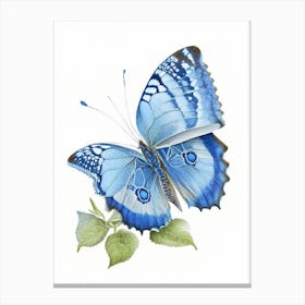 Common Blue Butterfly Decoupage 1 Canvas Print