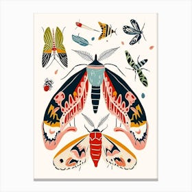 Colourful Insect Illustration Moth 16 Canvas Print