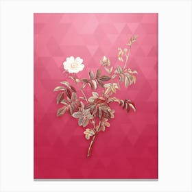Vintage White Downy Rose Botanical in Gold on Viva Magenta n.0057 Canvas Print