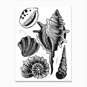 Shells Canvas Print