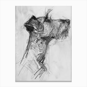 Irish Terrier Dog Charcoal Line 4 Canvas Print