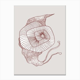 Symbiosis Canvas Print