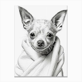 chihuahua with towel Canvas Print