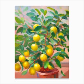 Dwarf Lemon Tree 2 Impressionist Painting Plant Canvas Print
