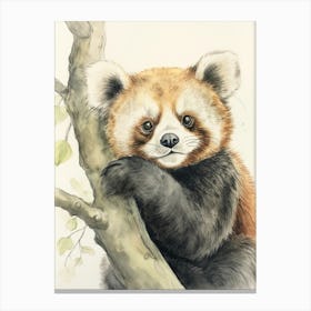 Storybook Animal Watercolour Red Panda 6 Canvas Print
