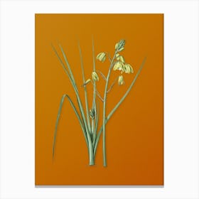 Vintage Slime Lily Botanical on Sunset Orange n.0639 Canvas Print