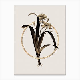 Gold Ring Iris Fimbriata Glitter Botanical Illustration Canvas Print