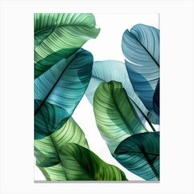 Blue And Green Leaves 1 Canvas Print