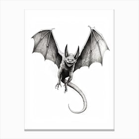 Big Free Tailed Bat Vintage Illustration 3 Canvas Print