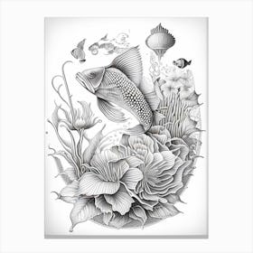 Butterfly Koi Fish Haeckel Style Illustastration Canvas Print