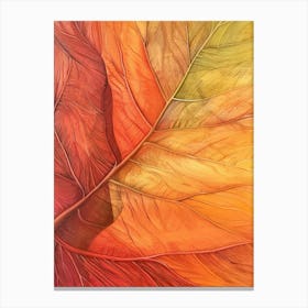 Autumn Leaf 4 Canvas Print