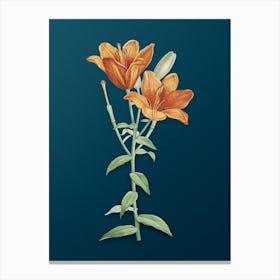 Vintage Orange Bulbous Lily Botanical Art on Teal Blue n.0293 Canvas Print