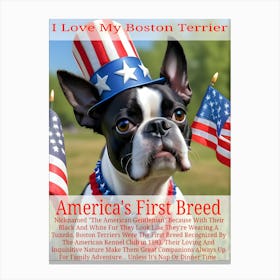 The Boston Terrier, America's Breed ~Reimagined 2 Canvas Print