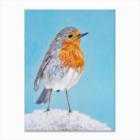 Winter Robin SB Canvas Print