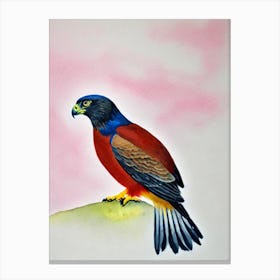 Falcon 2 Watercolour Bird Canvas Print