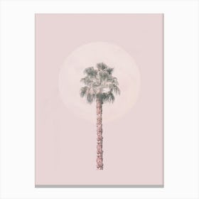 Pastel Pink Palm Tree Canvas Print