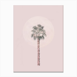 Pastel Pink Palm Tree Canvas Print