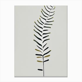 Mountain Spleenwort Simplicity Canvas Print