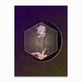 Abstract Geometric Mosaic Sun Star Botanical Illustration n.0014 Canvas Print