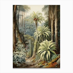 Vintage Jungle Botanical Illustration Cordyline 1 Canvas Print