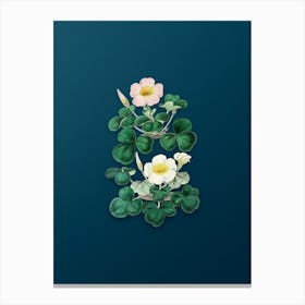 Vintage Variable Oxalis Branch Botanical Art on Teal Blue n.0845 Canvas Print