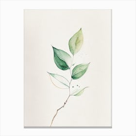 Tea Leaf Minimalist Watercolour Canvas Print