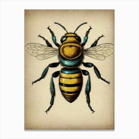 Bee Illustration Canvas Print