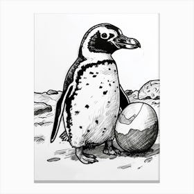 African Penguin Hatching 2 Canvas Print