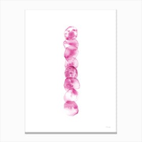 Totem Turmalina Rosa Canvas Print