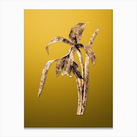 Gold Botanical Amaryllis on Mango Yellow n.0500 Canvas Print
