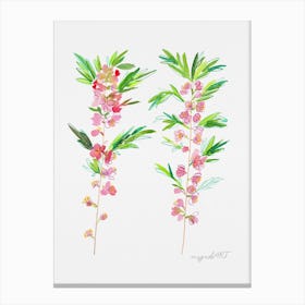 Dwarf almond 1 Canvas Print