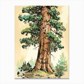 Redwood Tree Storybook Illustration 4 Canvas Print