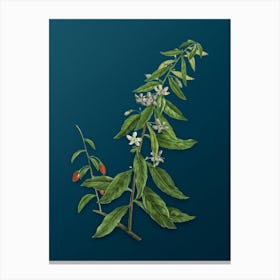 Vintage Goji Berry Tree Botanical Art on Teal Blue n.0465 Canvas Print