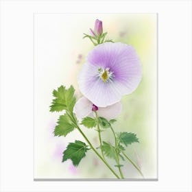 Marsh Mallow Wildflower Watercolour Canvas Print