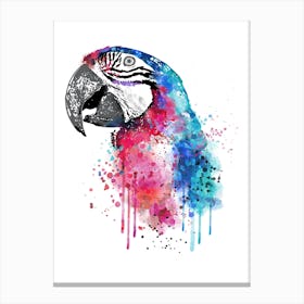 Macaw Bird Watercolor Canvas Print