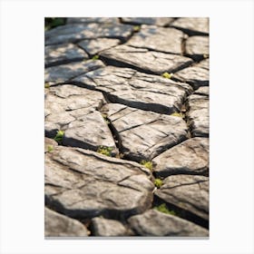 Cracks In The Road Canvas Print